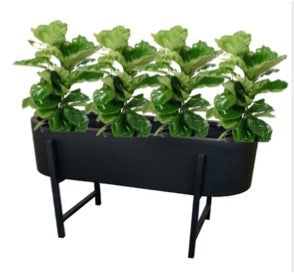 Obround Planter Large Black With Liner