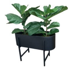 Obround Planter Small Black With Liner