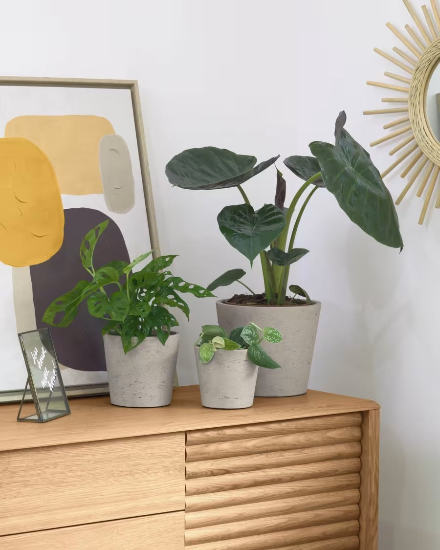 Low Set of 3 Planters Grey Ø 23,5 cm / Ø 16,5 cm / Ø 14 cm