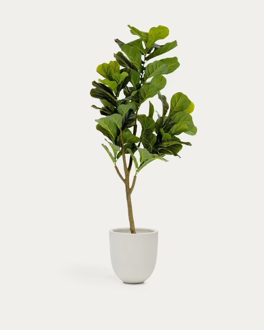 Ficus Artificial 150 cm