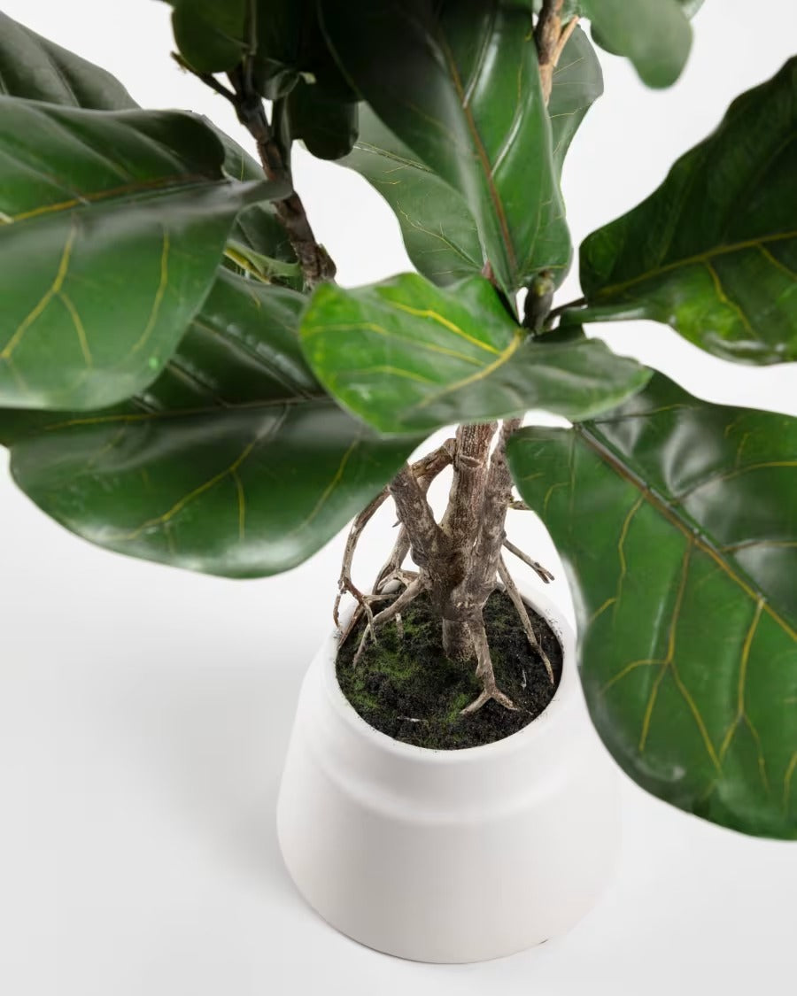 Lyrata Artificial Plant 60cm