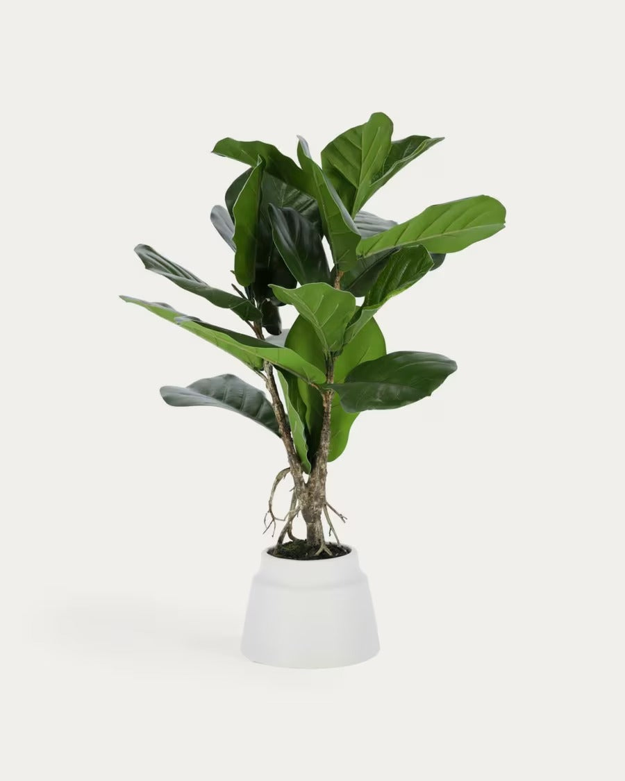 Lyrata Artificial Plant 60cm
