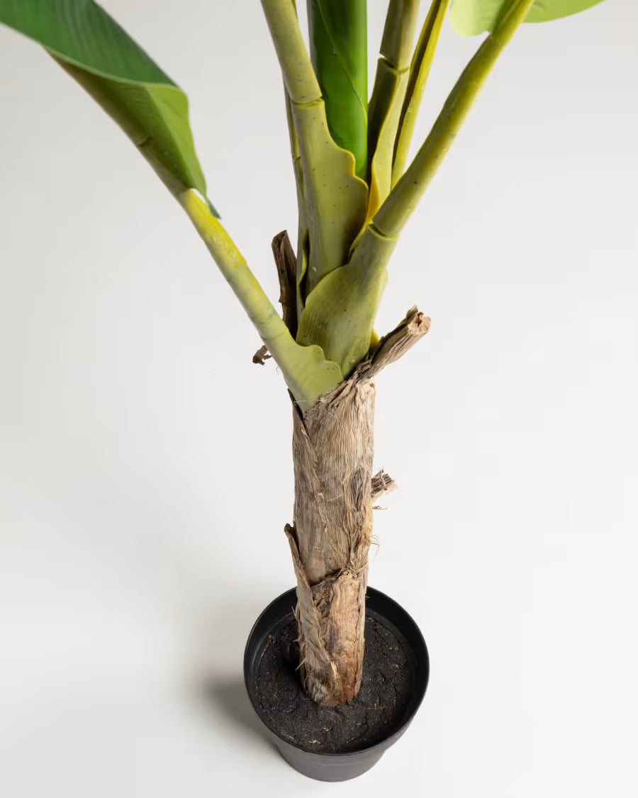 Baa artificial plant 160 cm.