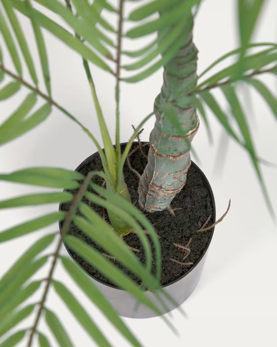 Palmera Artificial Palm Tree with black plantpot 70 cm