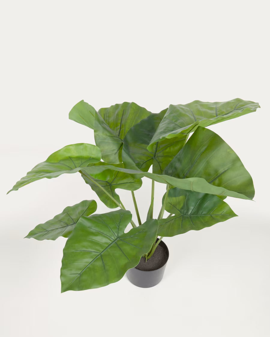 Artificial Alocasia Odora with black plantpot 57 cm