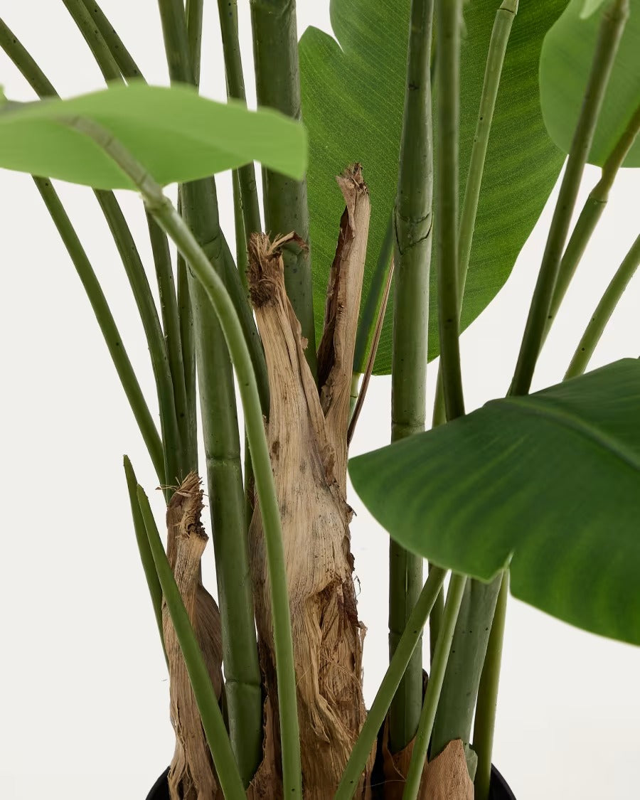Artificial Banana Plant in Blackpot 210 cm