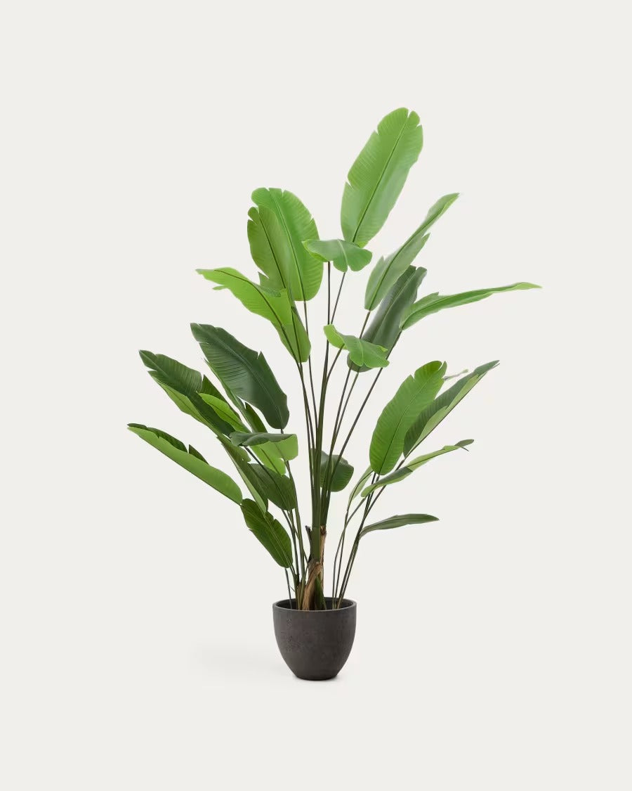Artificial Banana Plant in Blackpot 210 cm