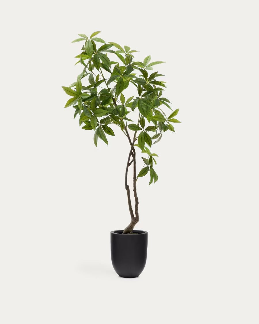Artificial Pachira Tree in Black Pot 180 cm