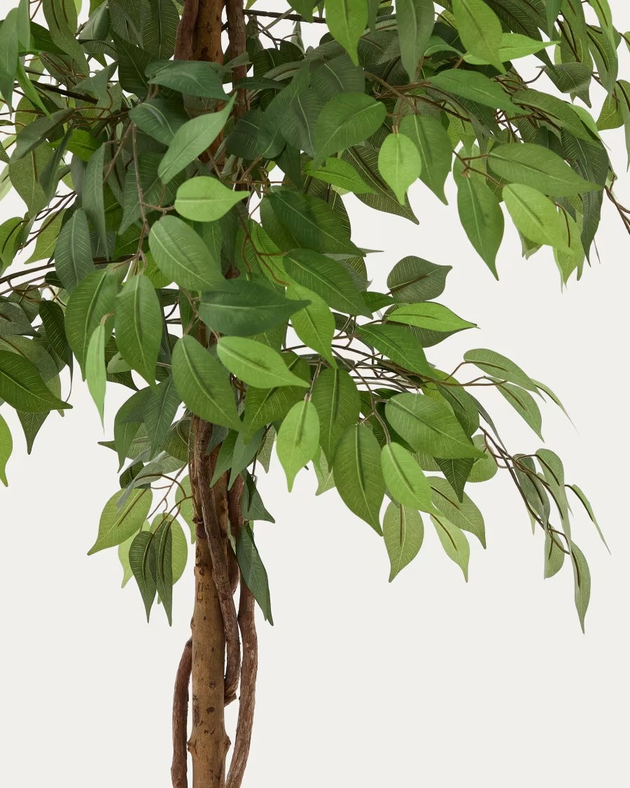 Artificial Ficus Tree in Black Pot 180 cm