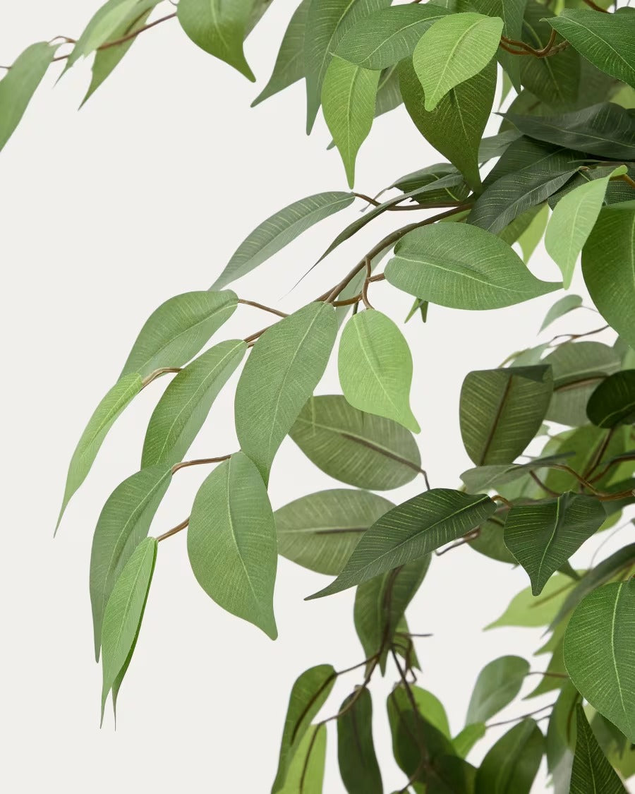 Artificial Ficus Tree in Black Pot 180 cm