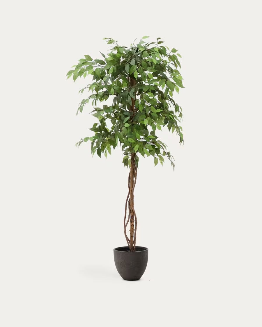 Artificial Ficus Tree in Black Pot 180 cm